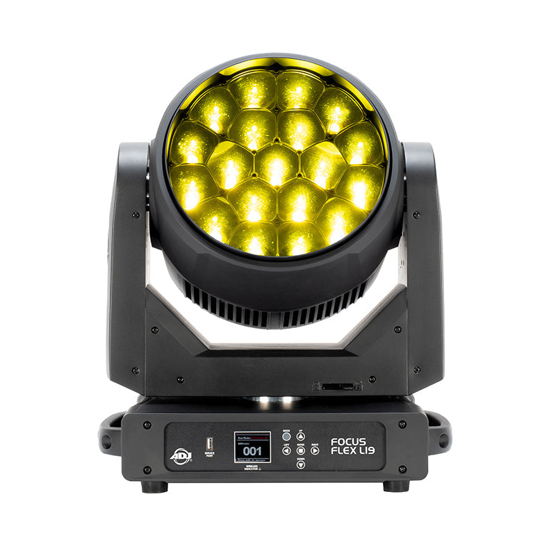 Focus Flex L19