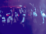 ECO BAR UV DMX