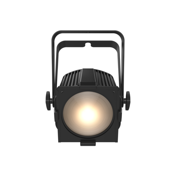 EVE P-100 WW