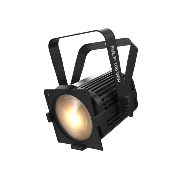 EVE P-100 WW