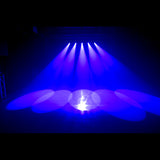FOCUS SPOT 6Z