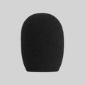 A100WS - Foam Windscreen