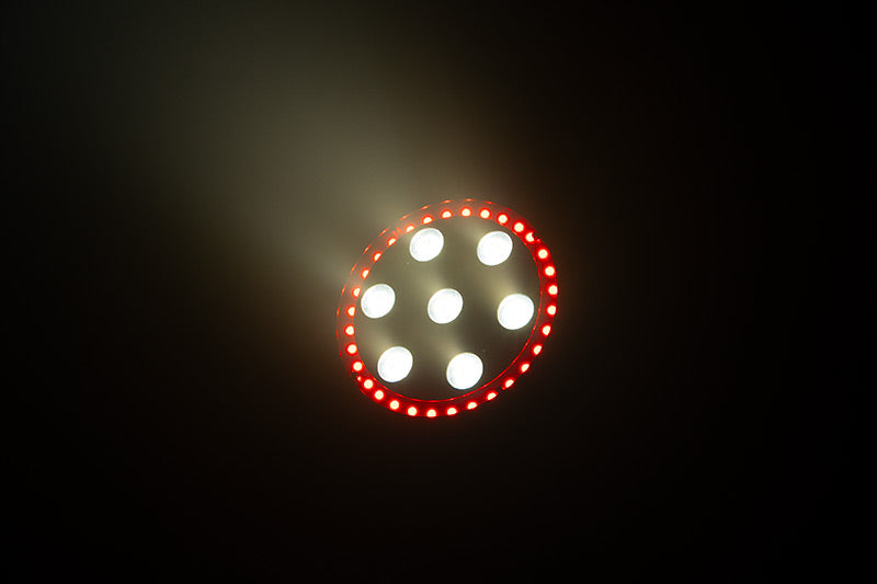 LP-8R  7x 8W Quad (RGBW) w/ RGB Ring Par