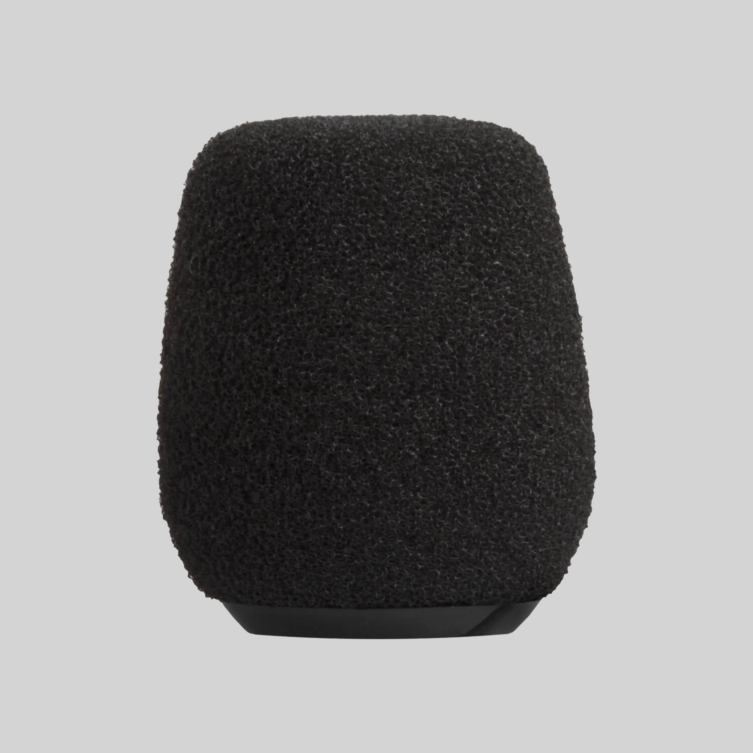 RK513WS - Windscreen