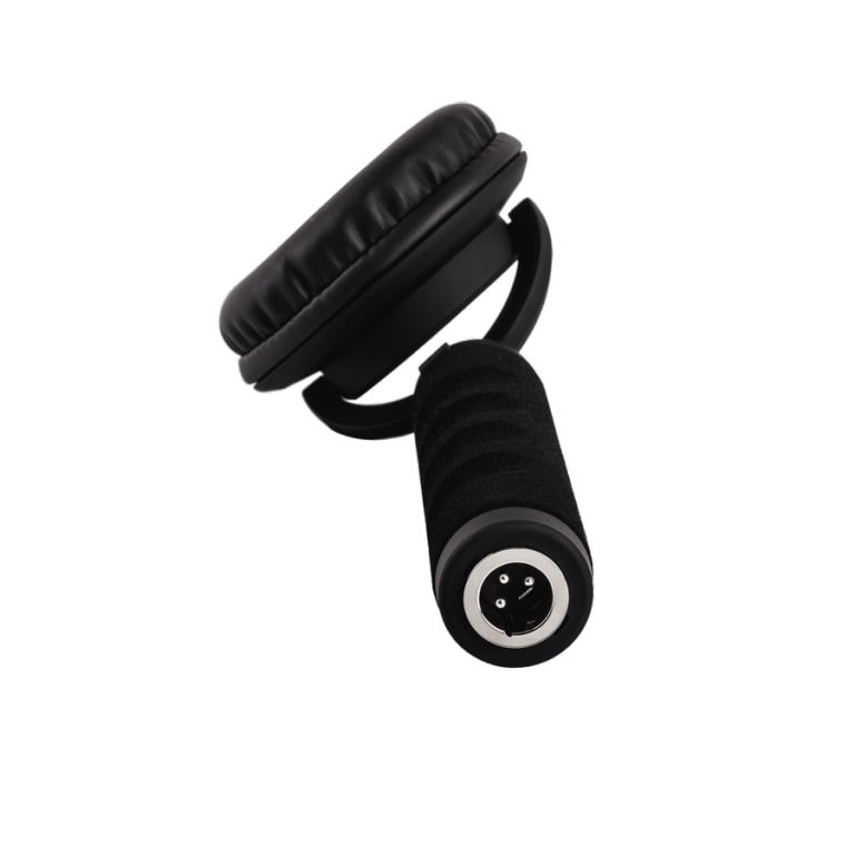 Reloop Rhp 10 Mono