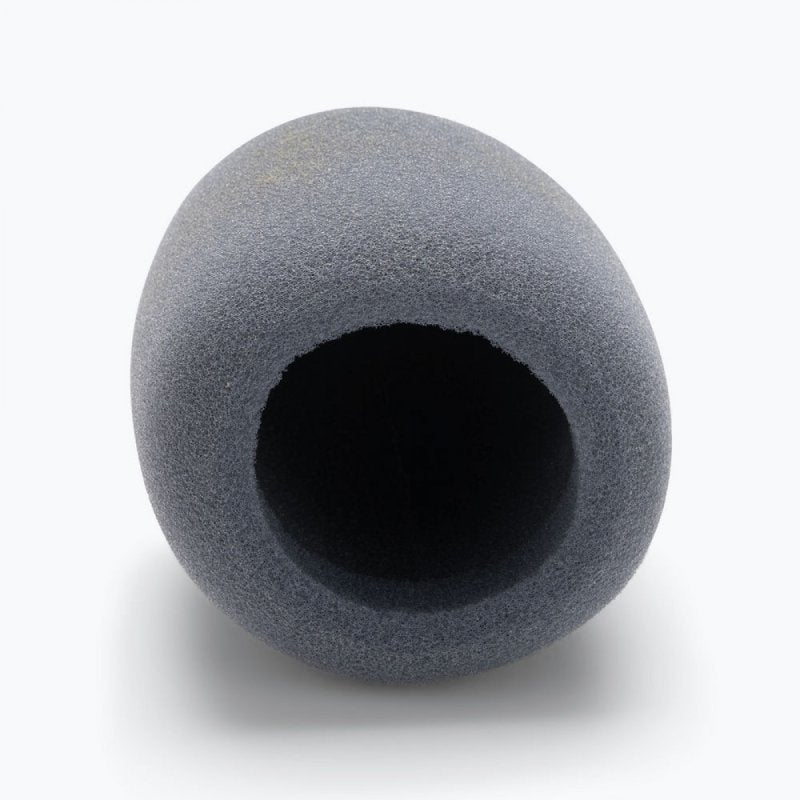 Foam Windscreen