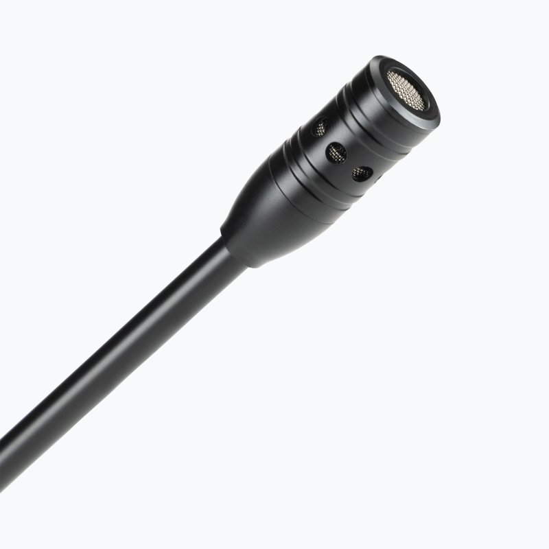 Gooseneck Mic