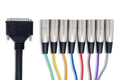 Balanced Snake, DB25 to XLR3M - Connector