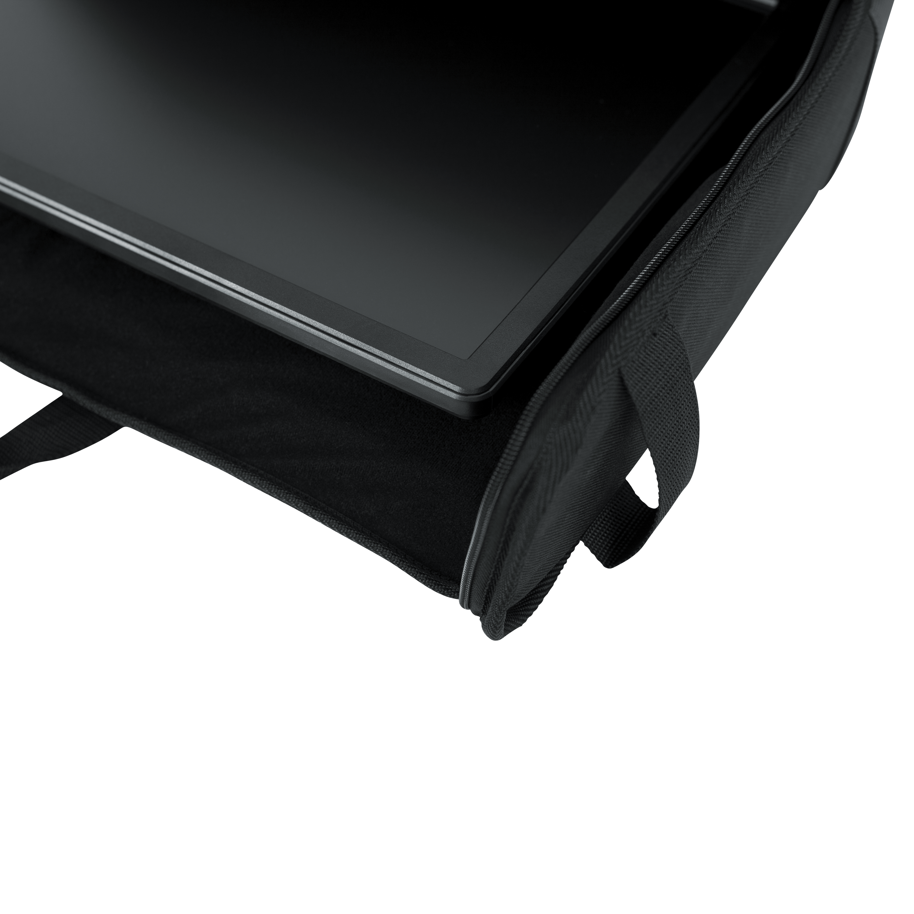 Large Padded LCD Transport Bag