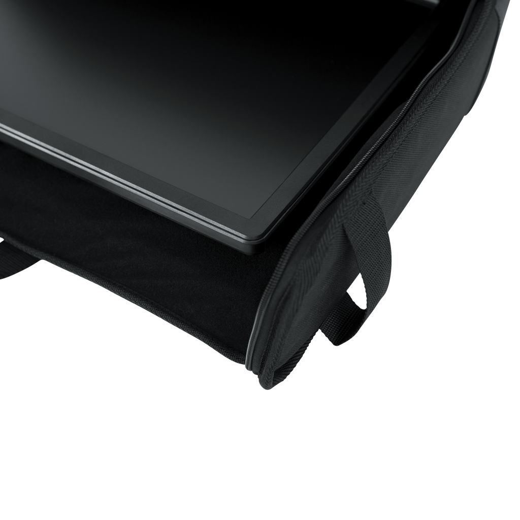Medium Padded LCD Transport Bag