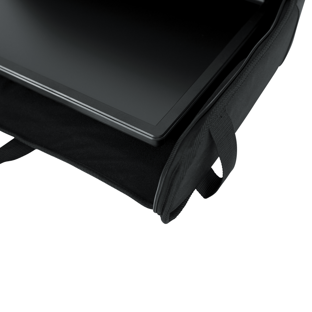 Small Padded LCD Transport Bag