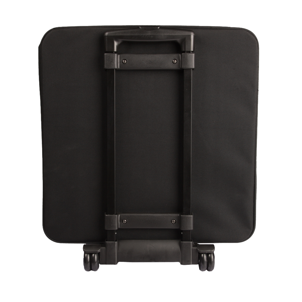 Case Carries 4 Par 64 LED's