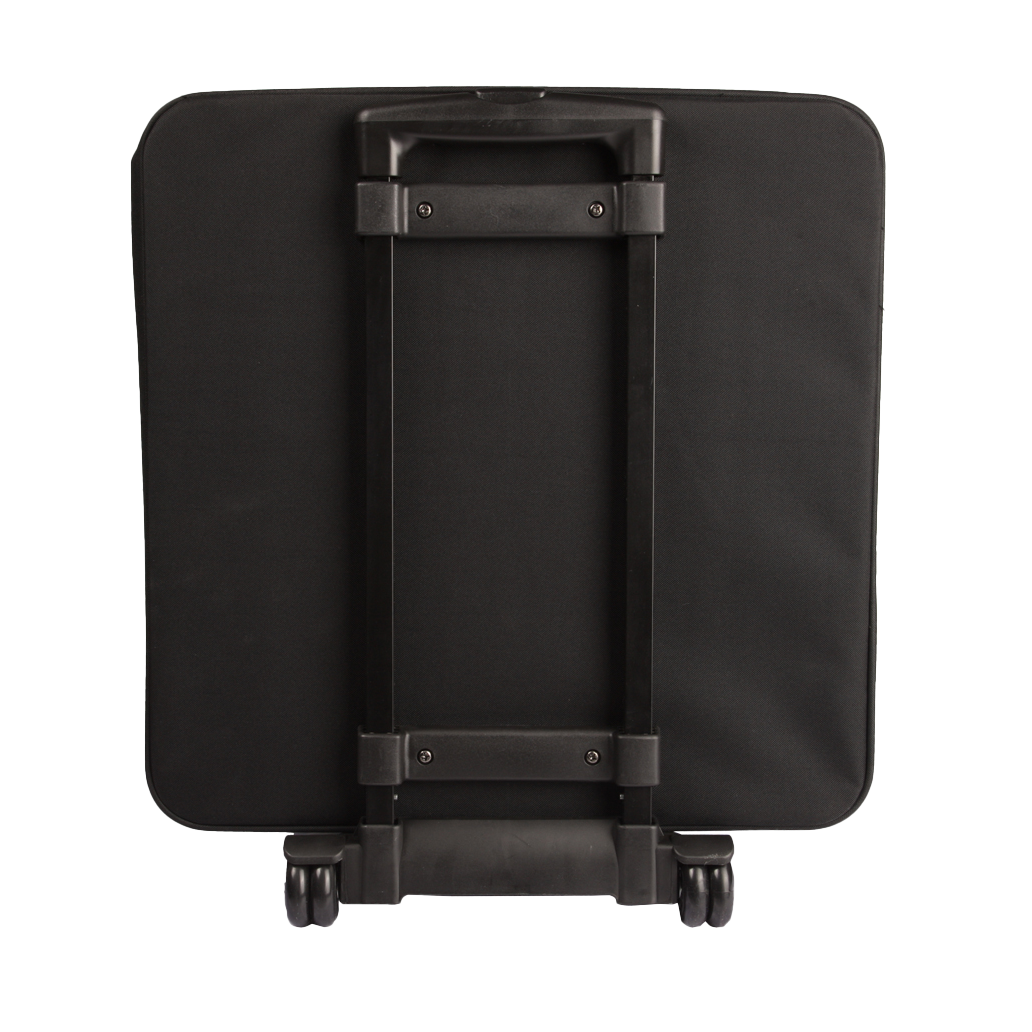 Case Carries 4 Par 64 LED's