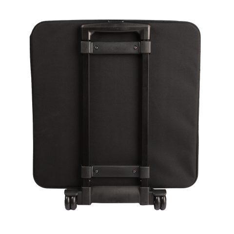 Case Carries 4 Par 64 LED's