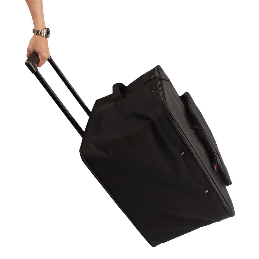 Case Carries 4 Par 64 LED's