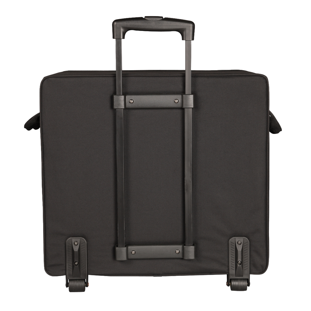 Case for Larger "Passport" Type PA Systems