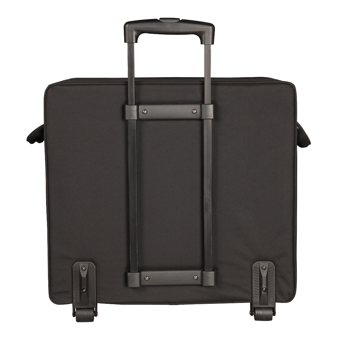 Case for Larger "Passport" Type PA Systems