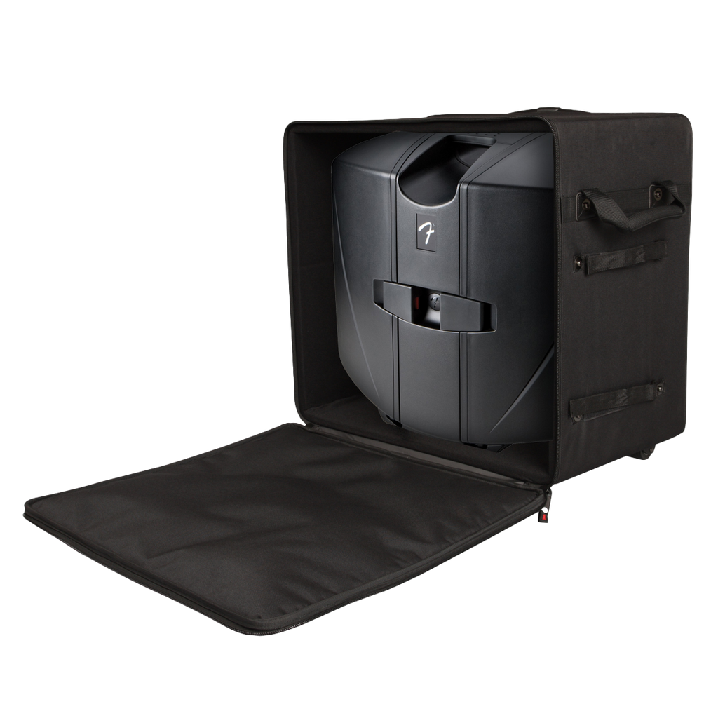 Case for Larger "Passport" Type PA Systems