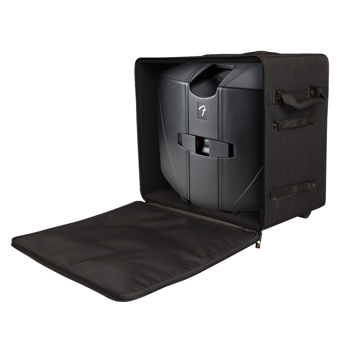 Case for Larger "Passport" Type PA Systems