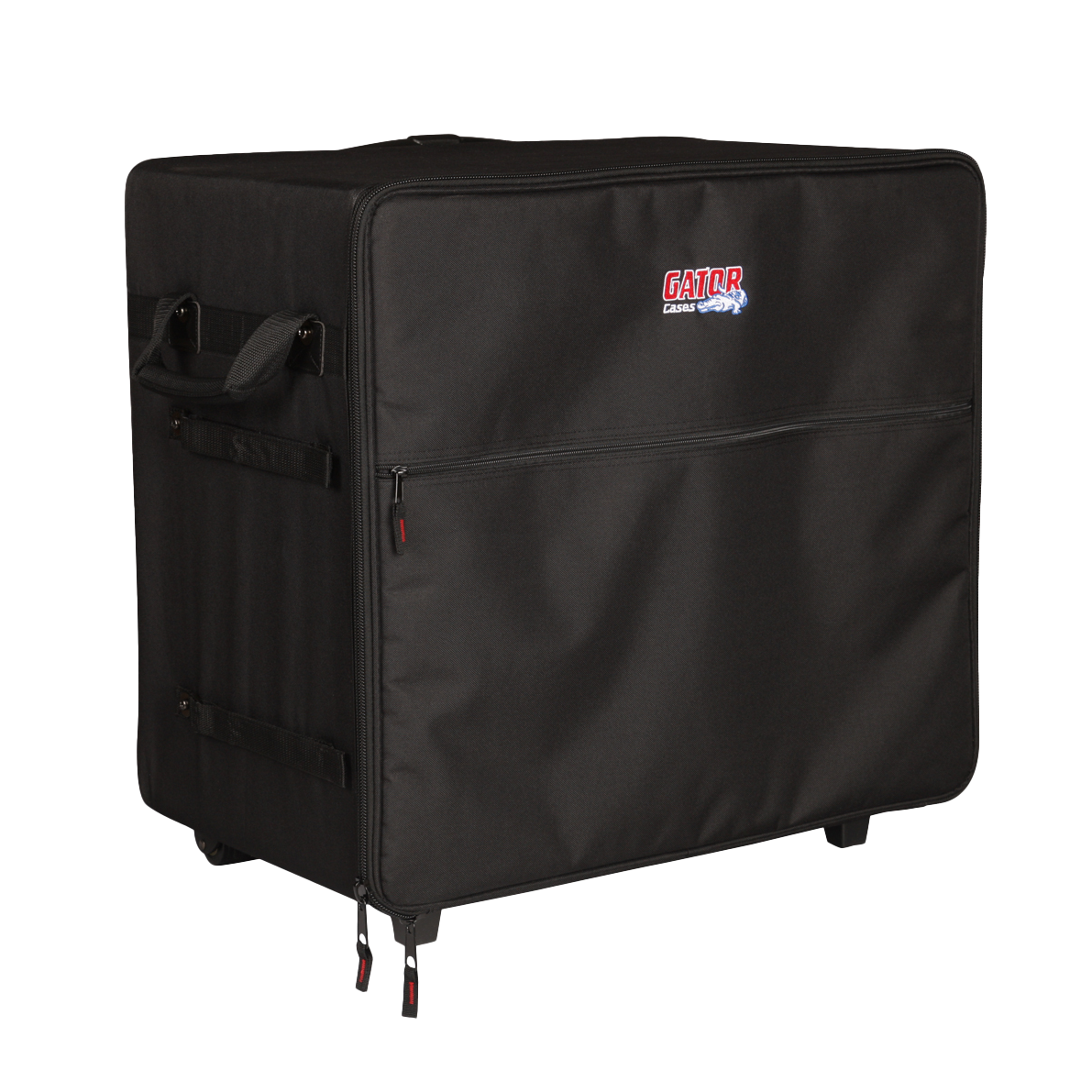 Case for Smaller "Passport" Type PA Systems