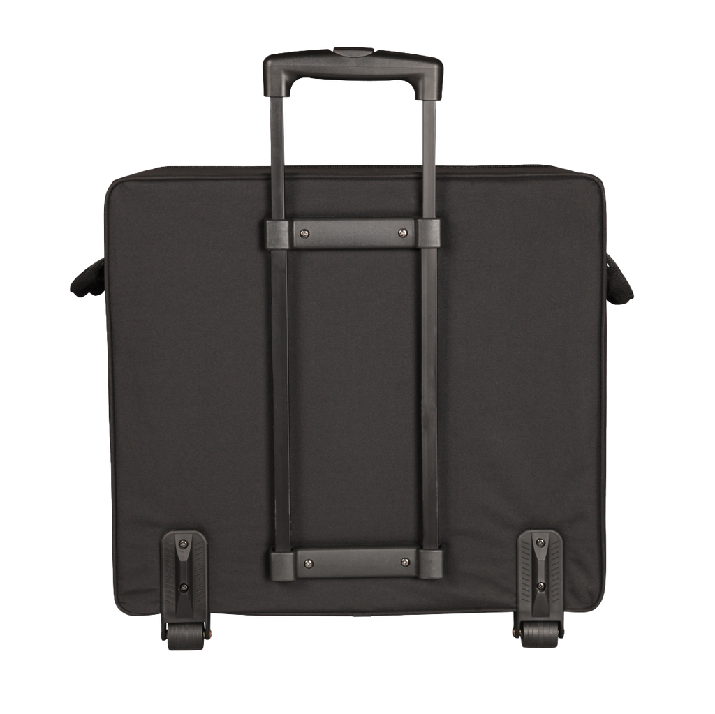 Case for Smaller "Passport" Type PA Systems