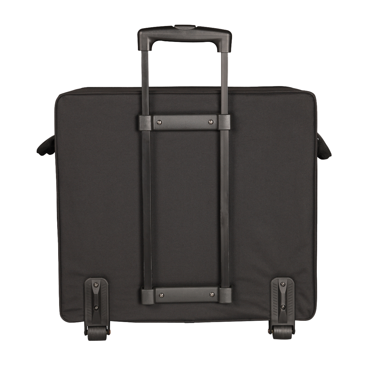 Case for Smaller "Passport" Type PA Systems