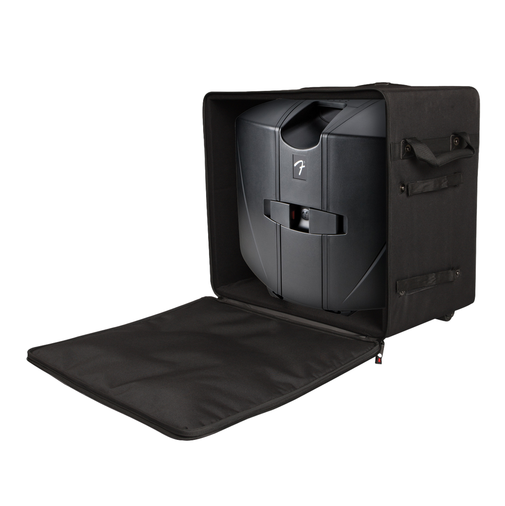 Case for Smaller "Passport" Type PA Systems