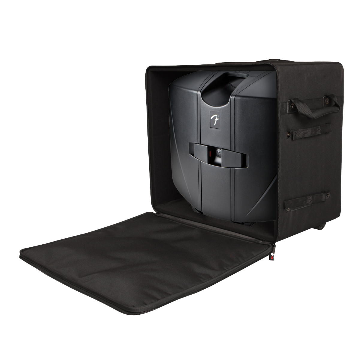 Case for Smaller "Passport" Type PA Systems