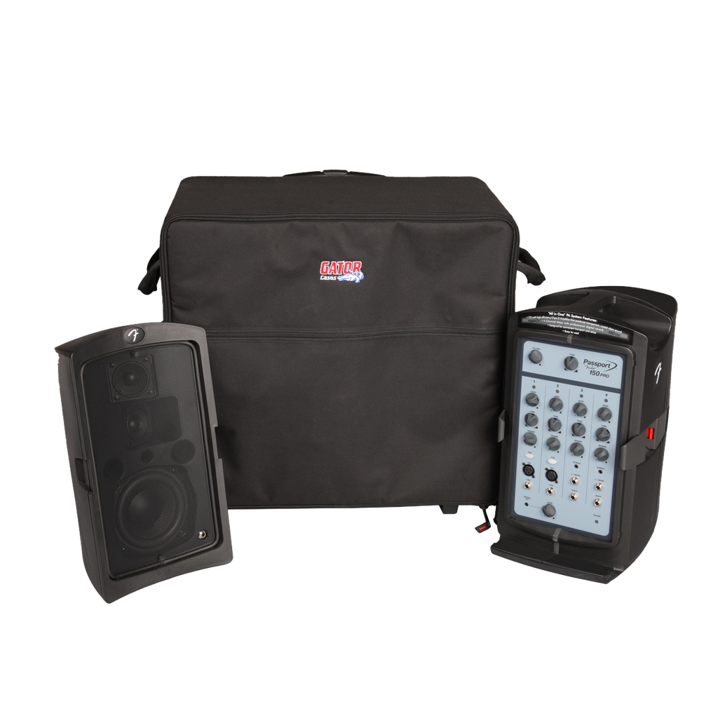 Case for Smaller "Passport" Type PA Systems