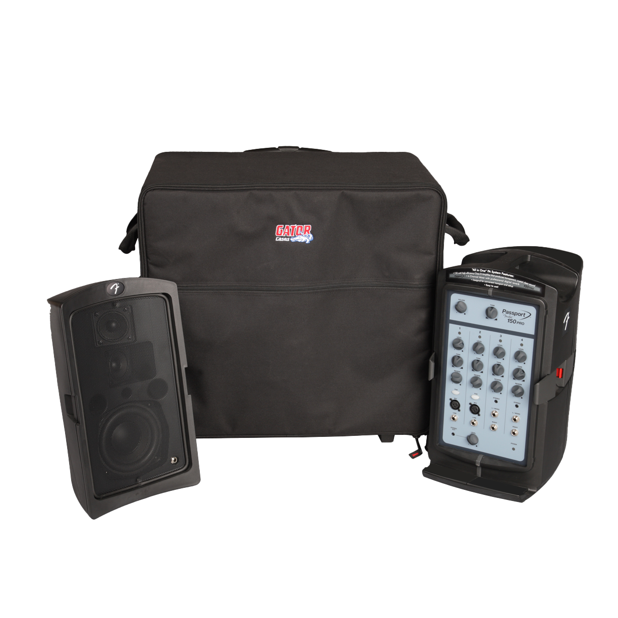 Case for Smaller "Passport" Type PA Systems