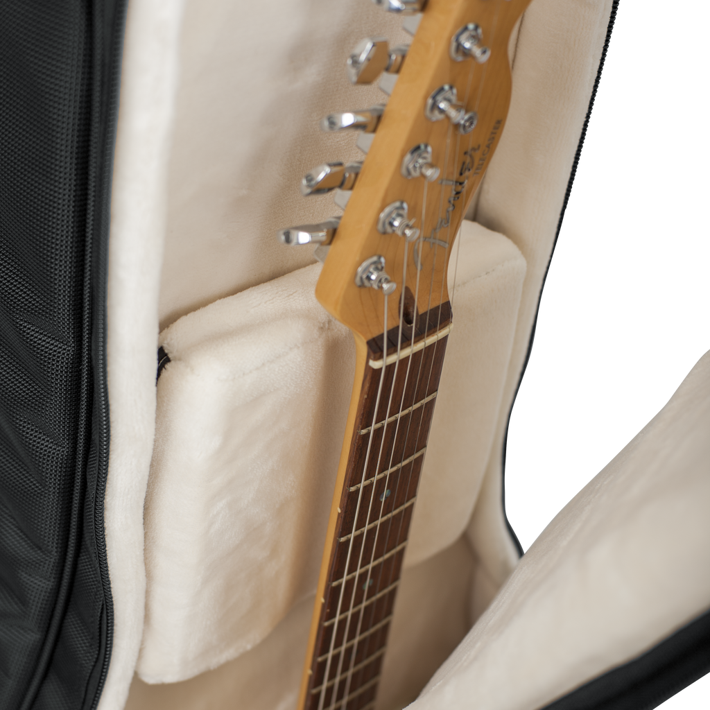 Pro-Go Acoustic/Electric Double Gig Bag