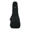 4G Series Acoustic/Electric Double Gig Bag