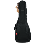 4G Series Acoustic/Electric Double Gig Bag