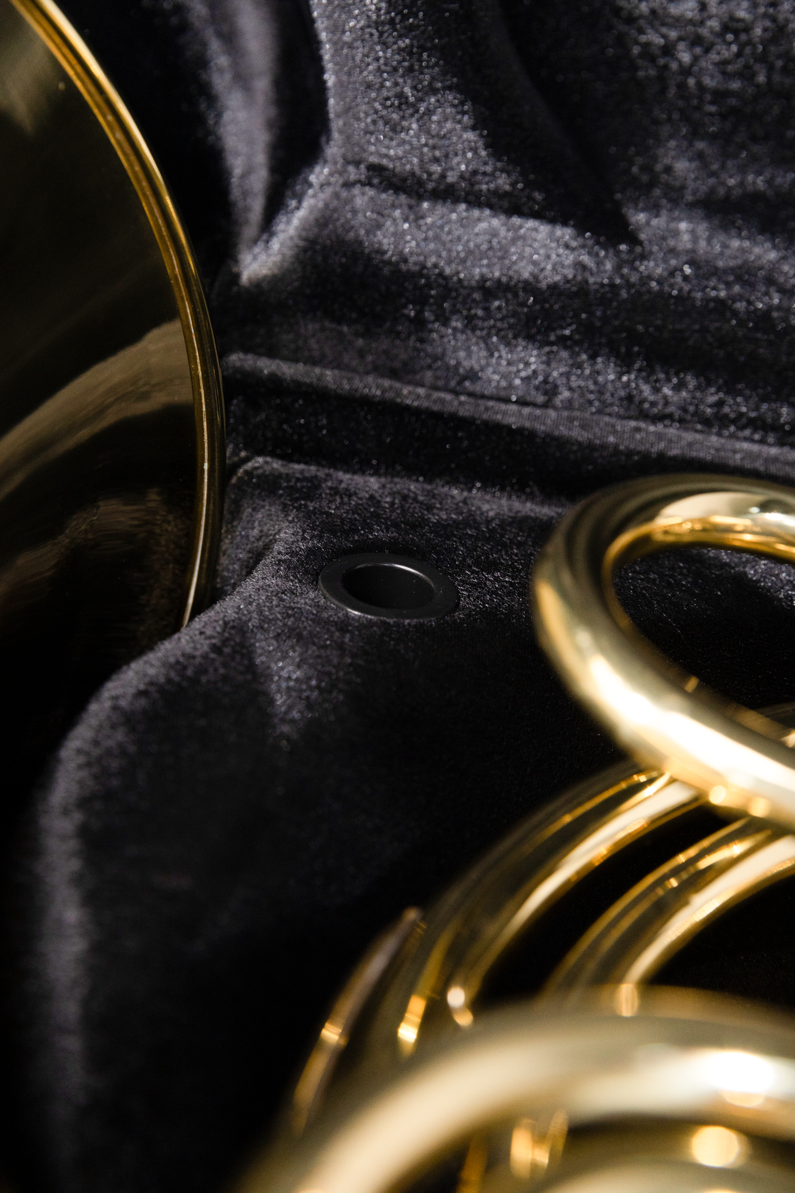 Gator Presto Series Pro Case for French Horn