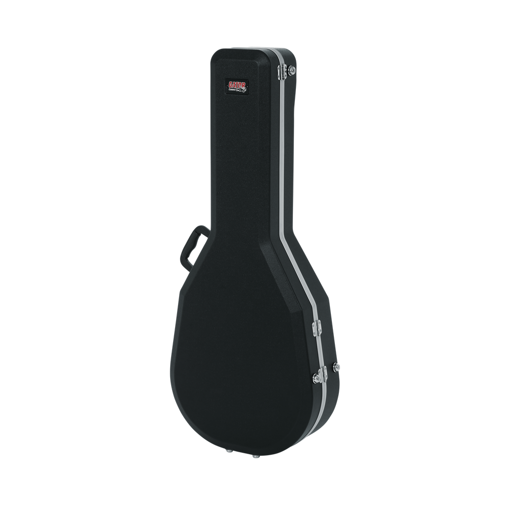 Case for Taylor GS-Mini