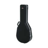 Case for Taylor GS-Mini
