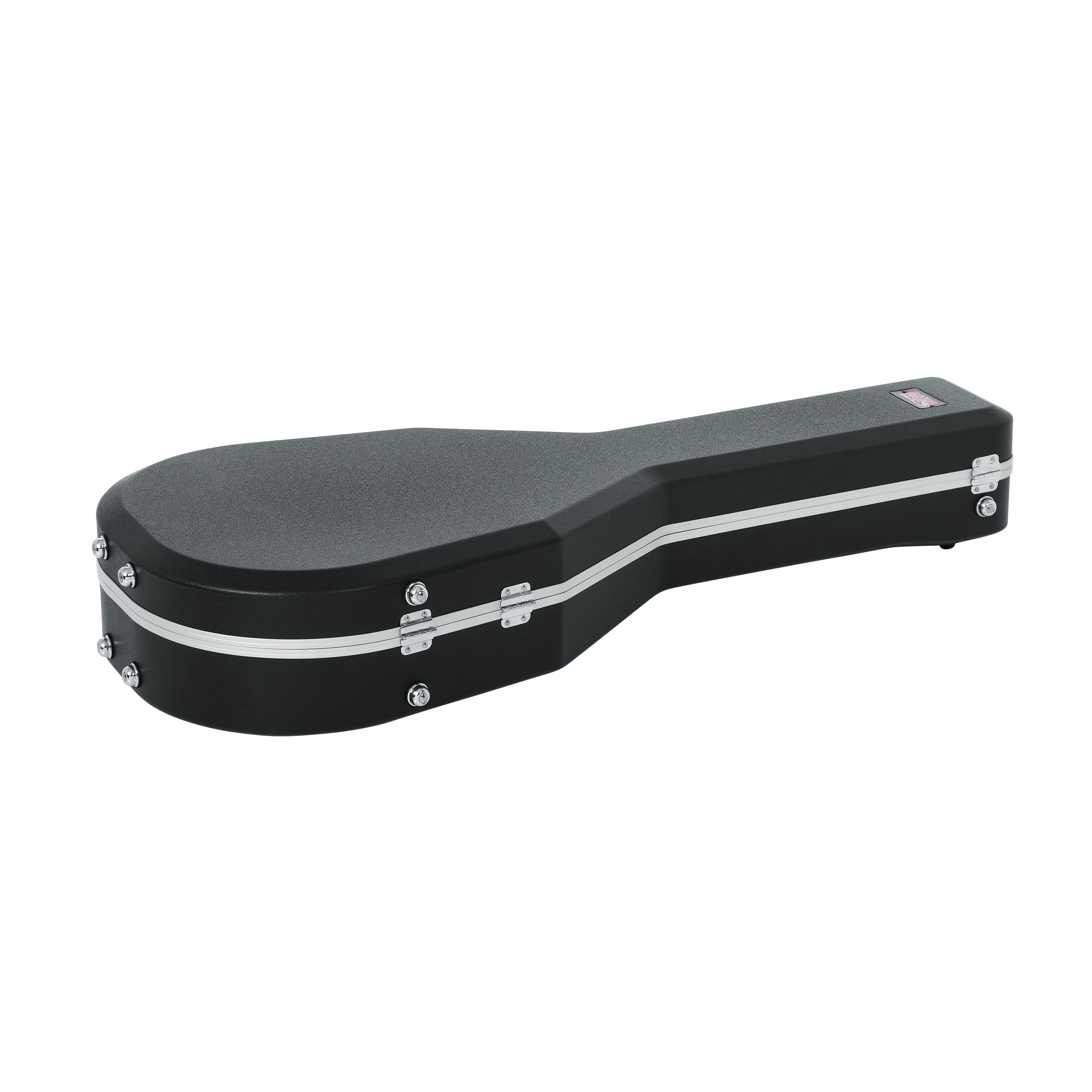 Case for Taylor GS-Mini