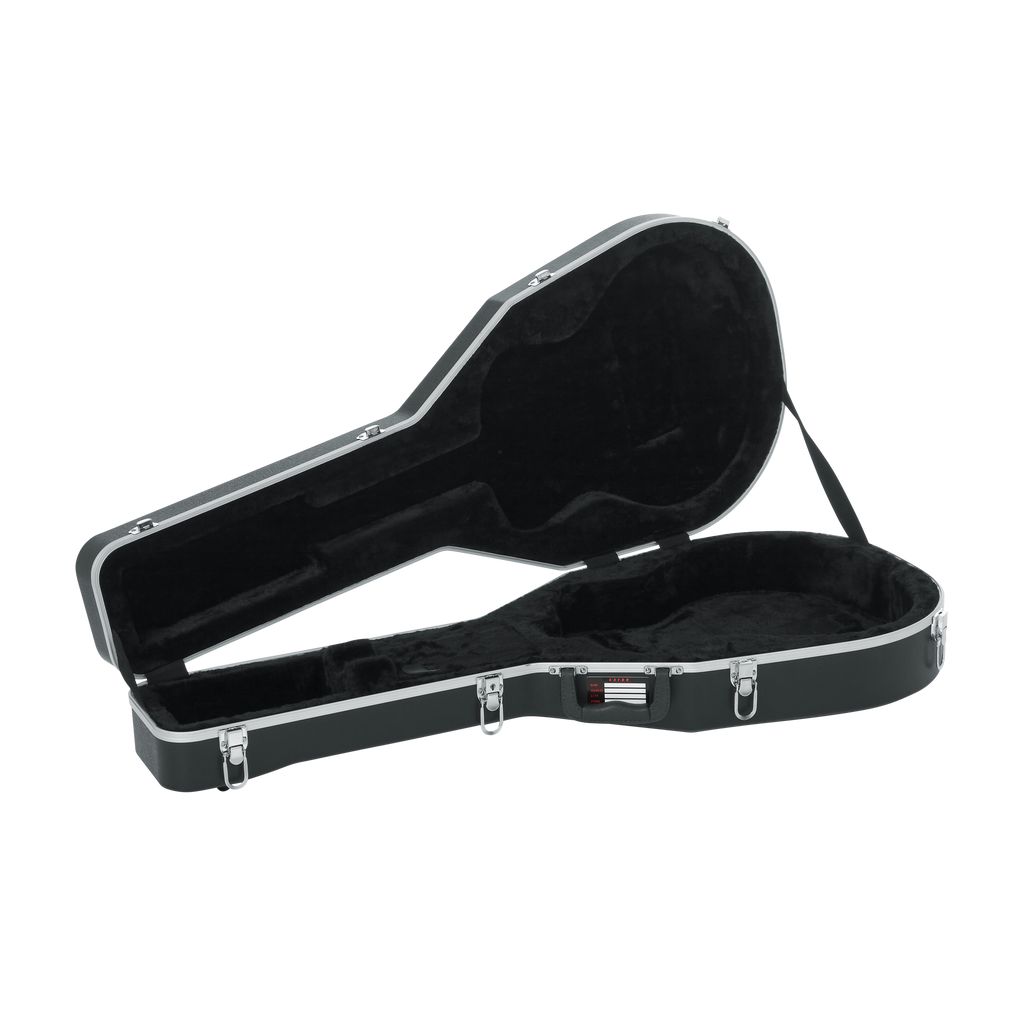 Case for Taylor GS-Mini