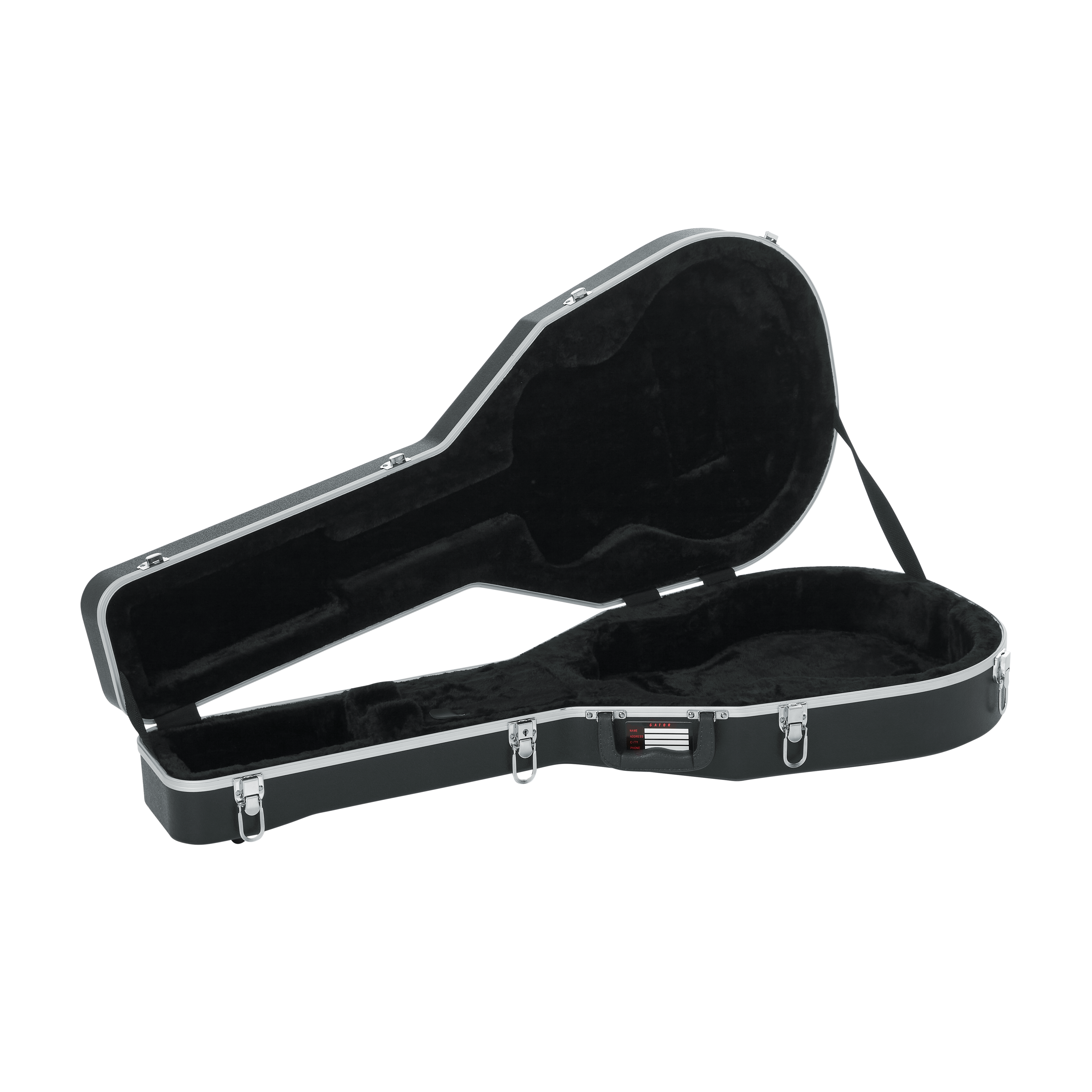 Case for Taylor GS-Mini