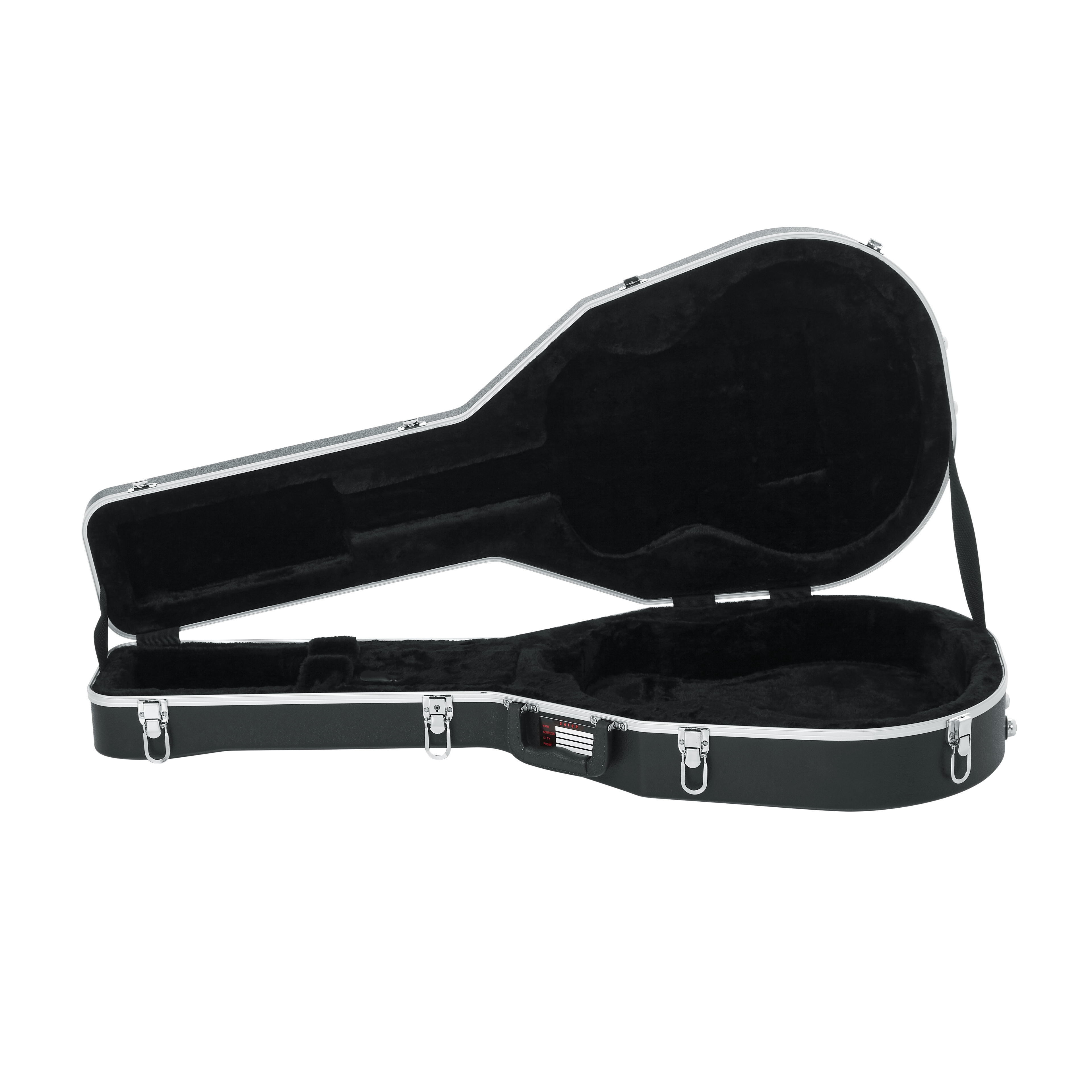 Case for Taylor GS-Mini