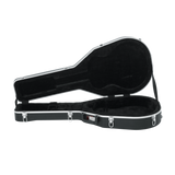 Case for Taylor GS-Mini