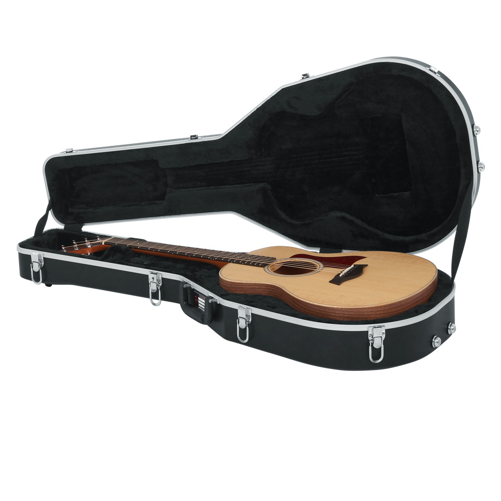 Case for Taylor GS-Mini