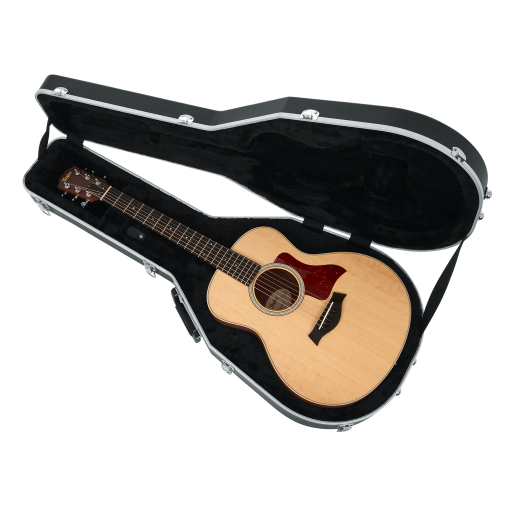 Case for Taylor GS-Mini