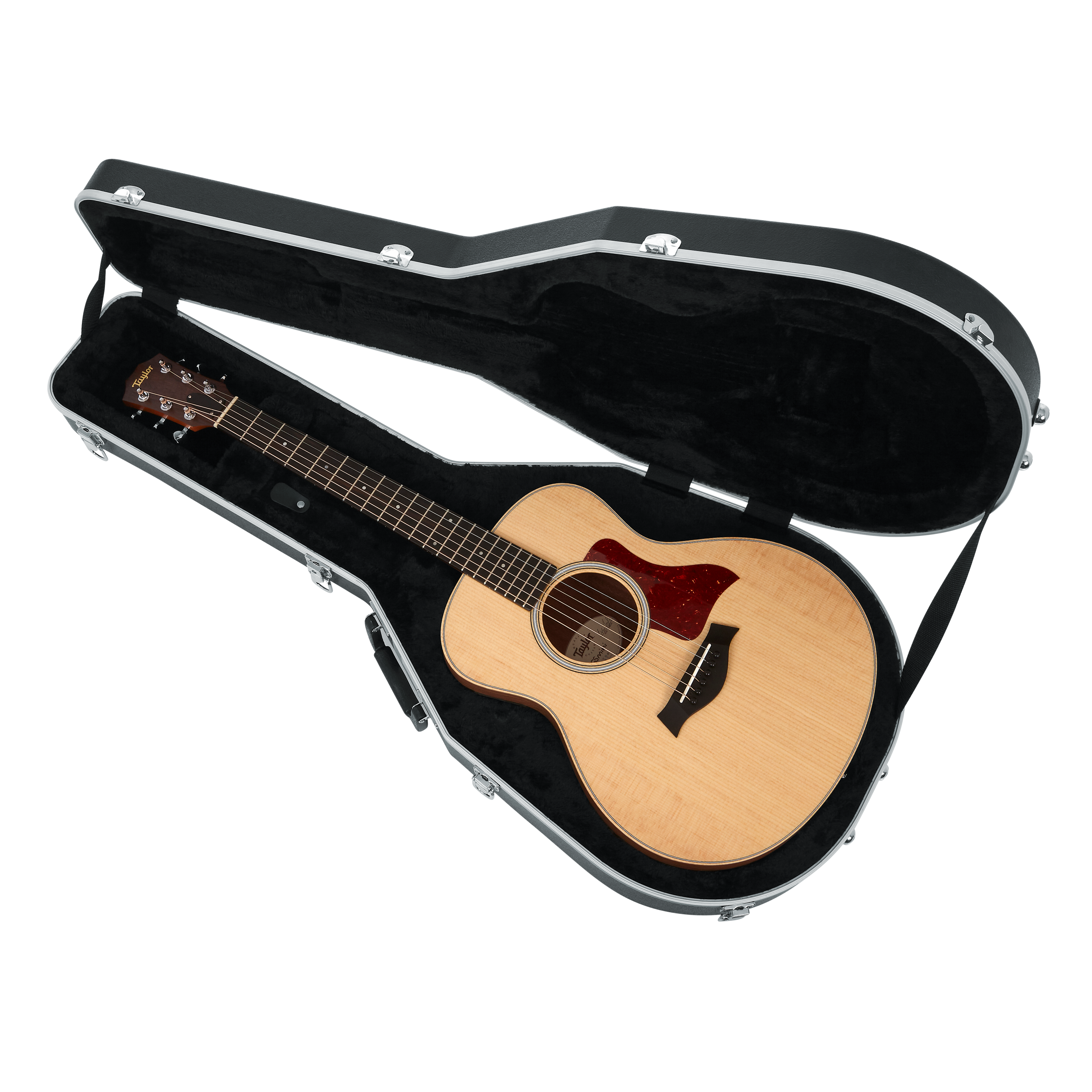 Case for Taylor GS-Mini