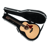 Case for Taylor GS-Mini
