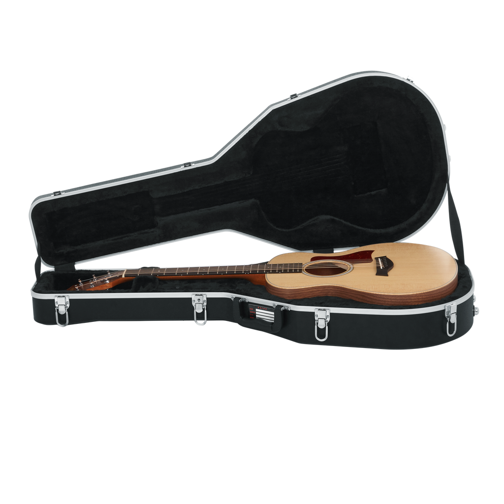 Case for Taylor GS-Mini