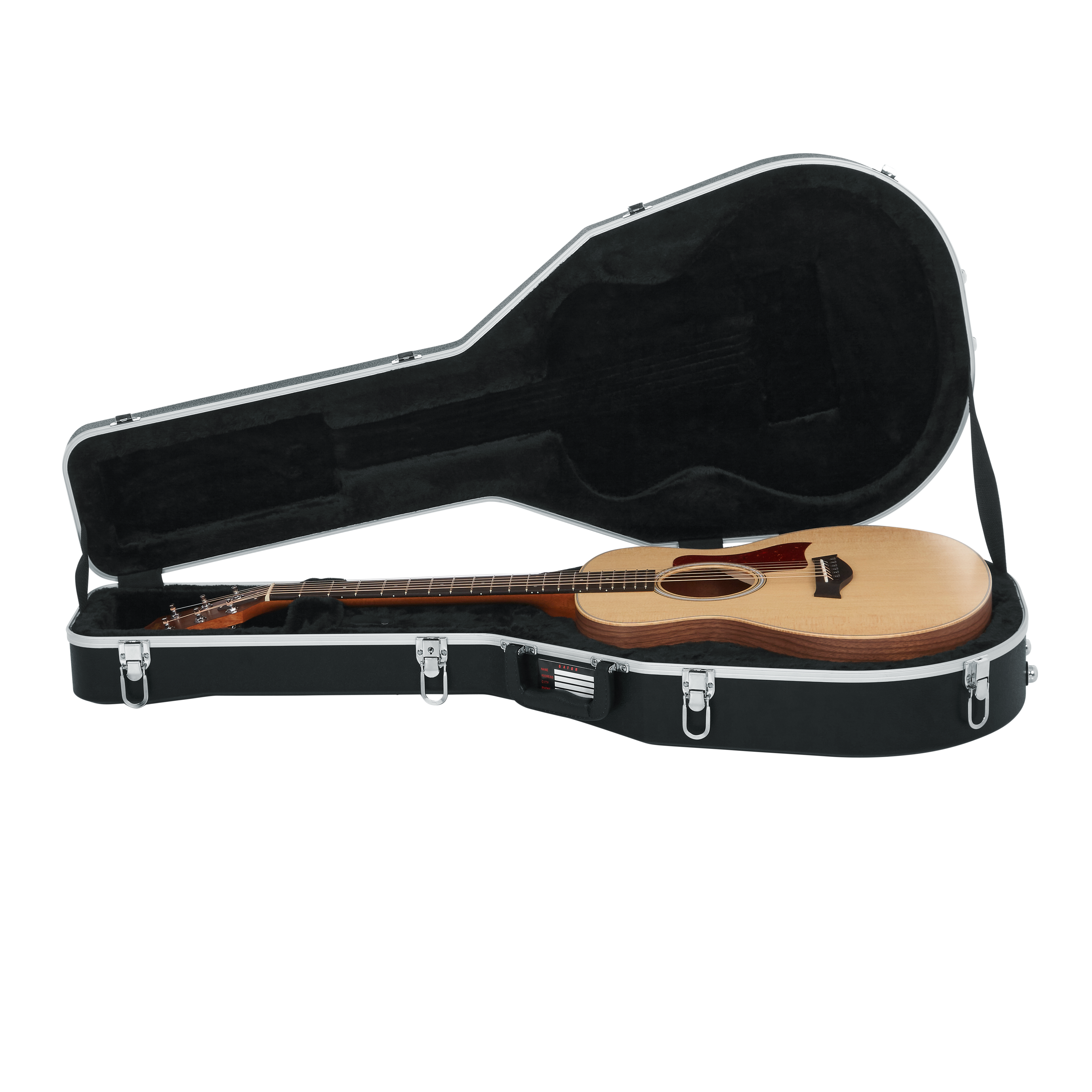 Case for Taylor GS-Mini
