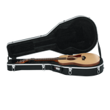 Case for Taylor GS-Mini