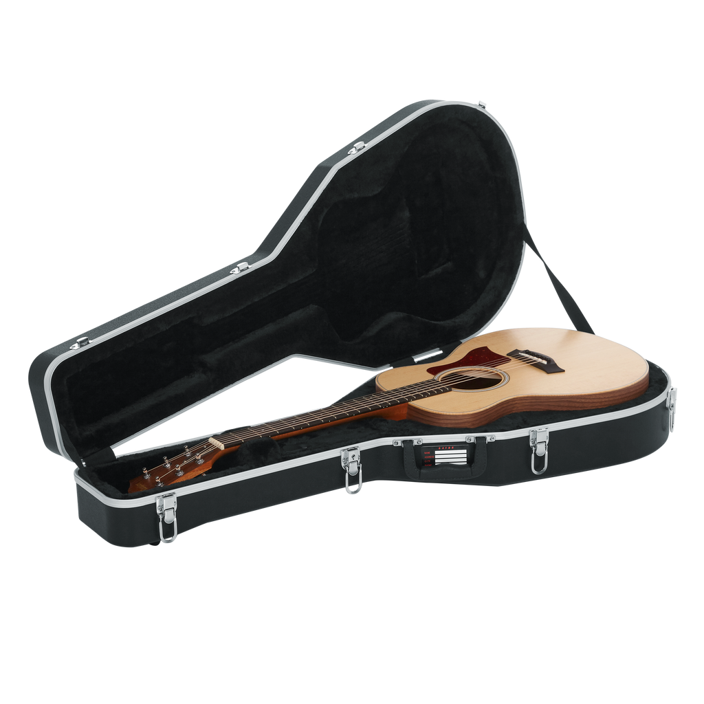 Case for Taylor GS-Mini