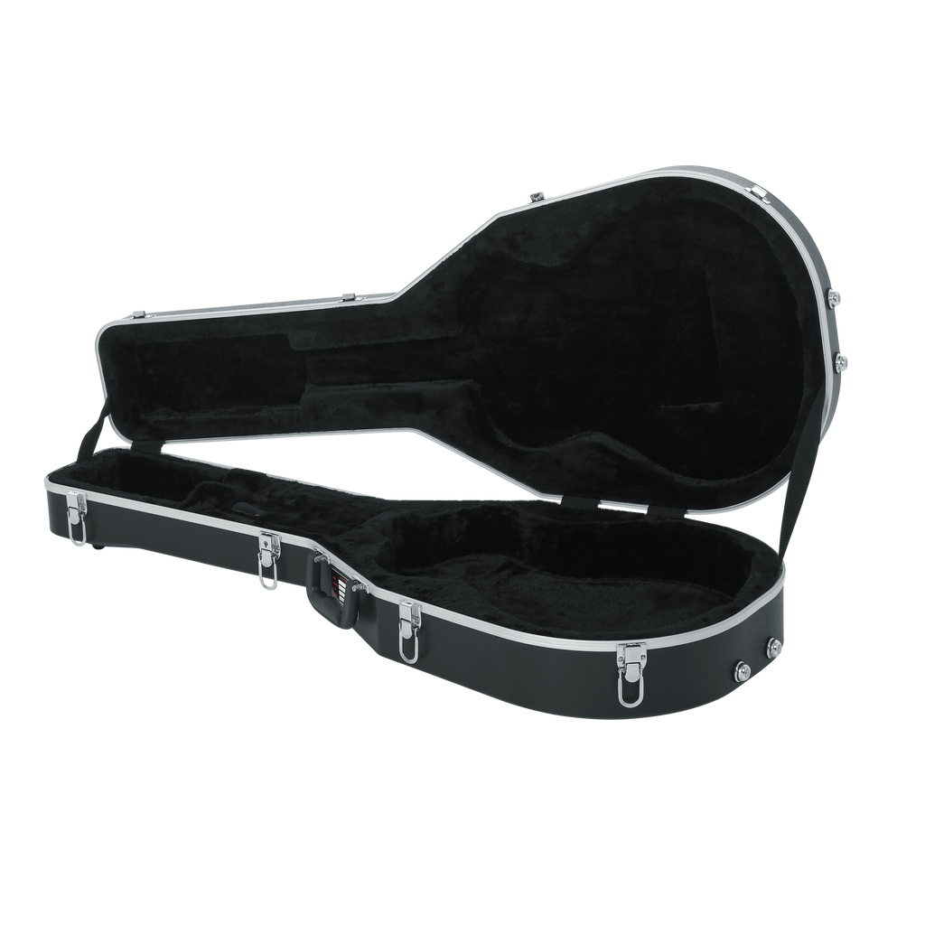 Case for Taylor GS-Mini